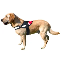 Pets*Atlético de Madrid REINFORCED DOG HARNESS S